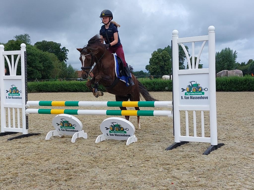 Allround C-pony, Dieren en Toebehoren, Merrie, C pony (1.27m tot 1.37m), 11 jaar of ouder, Met stamboom