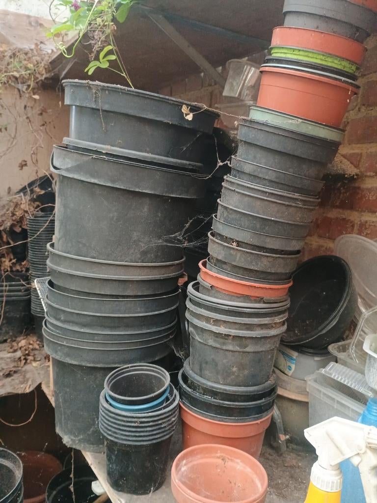 Gratis bloempotten plantenpotten, Jardin & Terrasse, Enlèvement