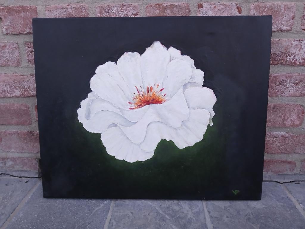 Schilderij bloem, Antiek en Kunst, Ophalen
