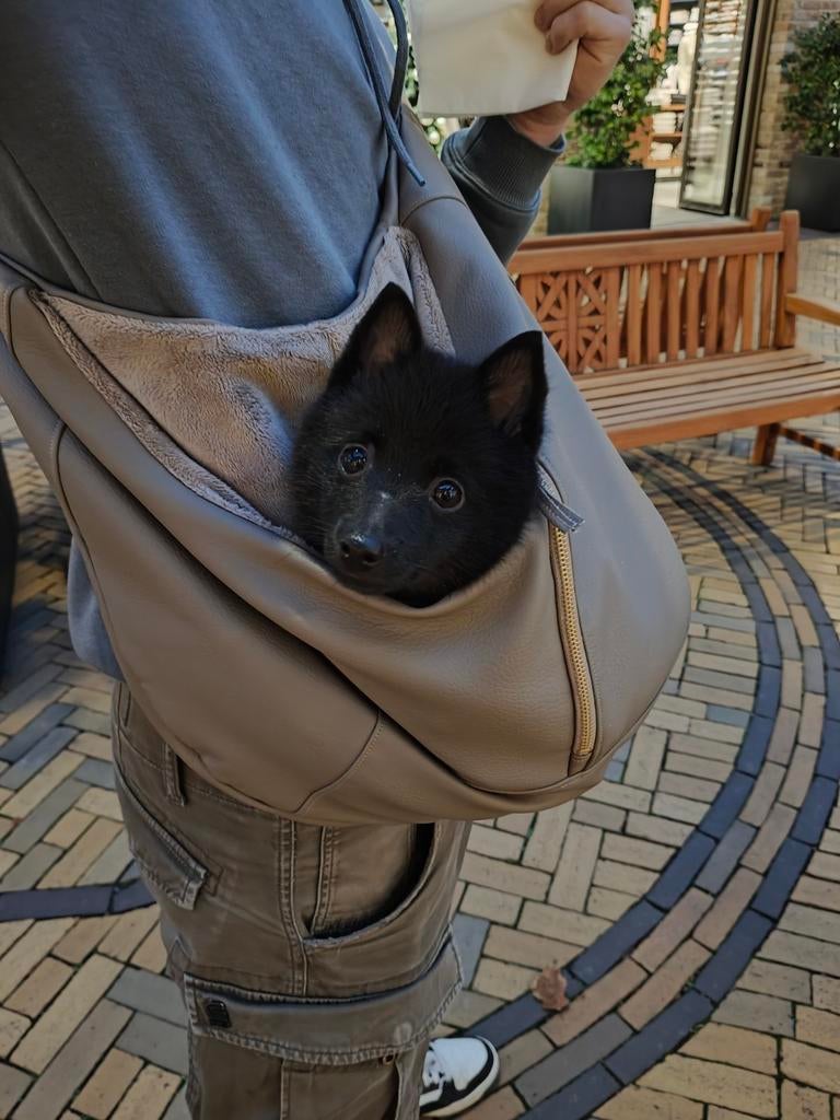 Puppy tas perfecte staat 150€,made in België,, Dieren en Toebehoren, Ophalen