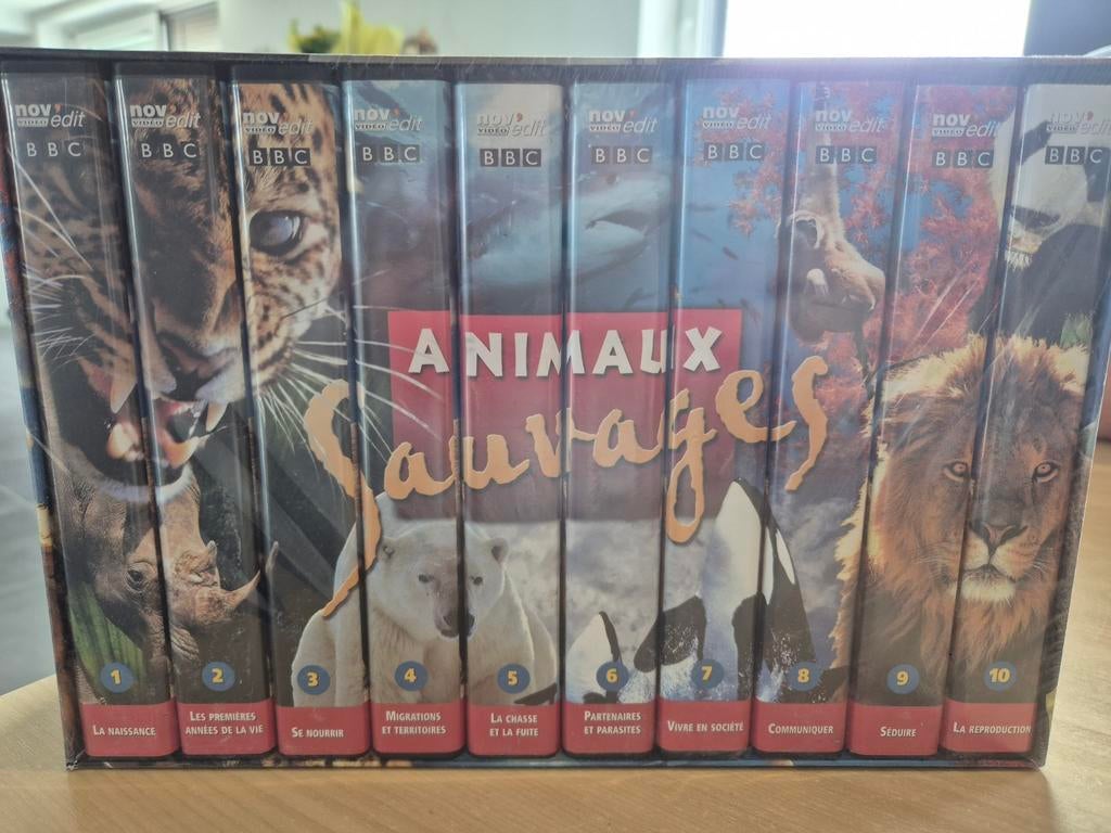 Cassettes vidéo "animaux sauvages', Cd's en Dvd's, VHS | Film