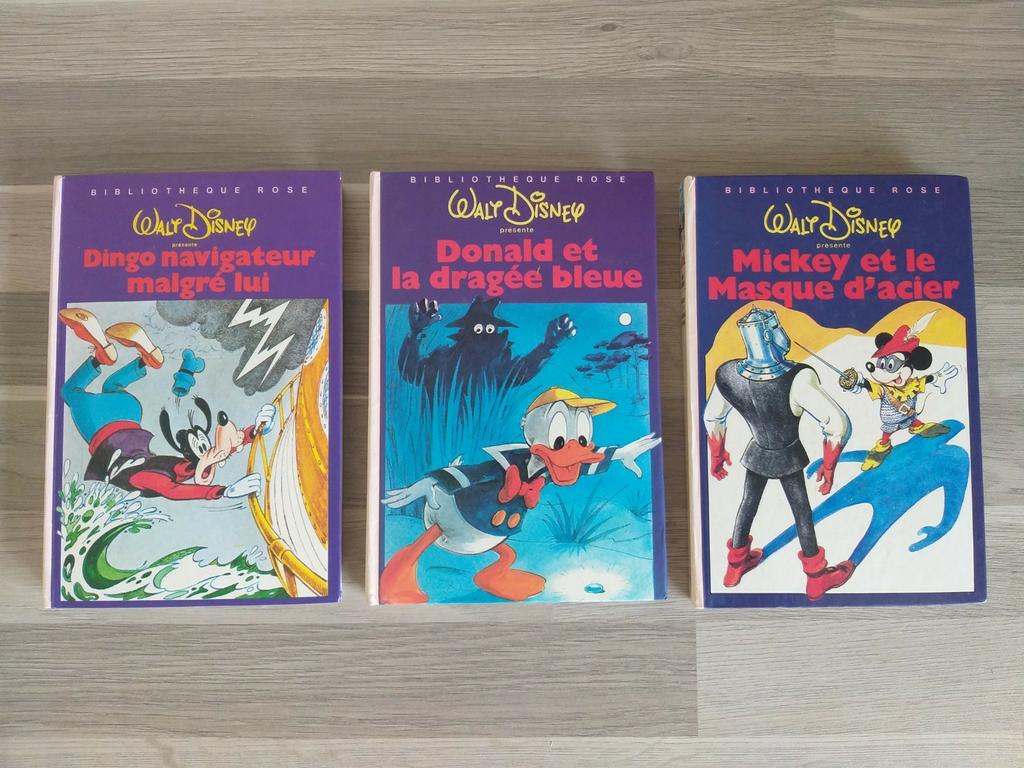 Lot de livres Walt Disney, Livres, Enlèvement ou Envoi, Utilisé