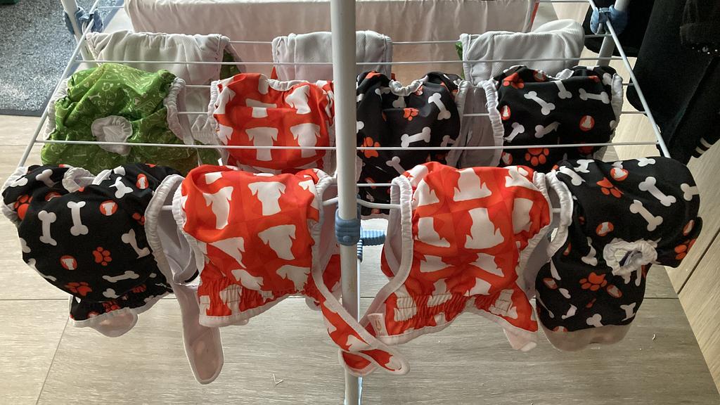 Couche réutilisable pour chien taille M - 12 pièces dispo, Enlèvement ou Envoi