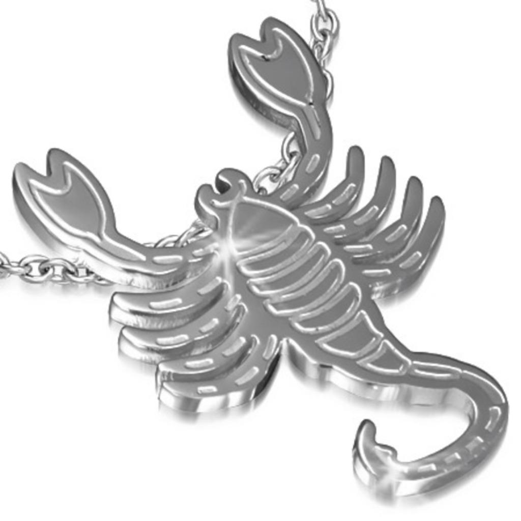 'Schorpioen' horoscoop / sterrenbeeld hanger in edelstaal, Handtassen en Accessoires, Ophalen of Verzenden, Nieuw