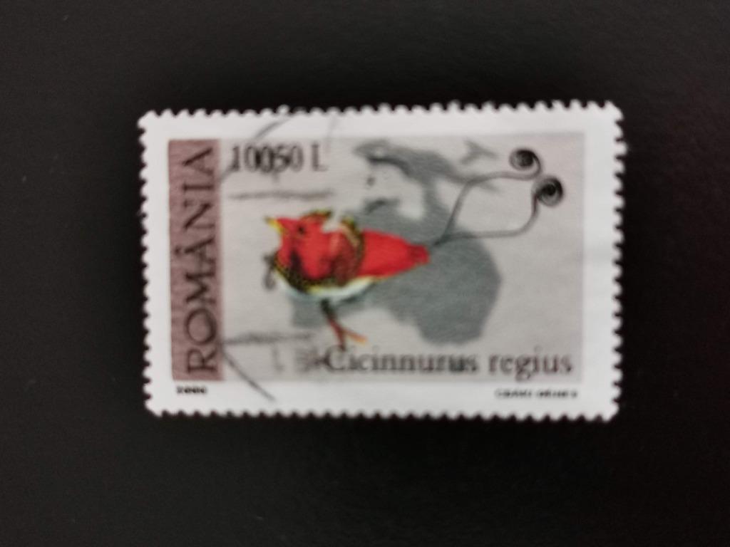 Roumanie 2000 - oiseaux - oiseau de paradis, Enlèvement ou Envoi, Affranchi