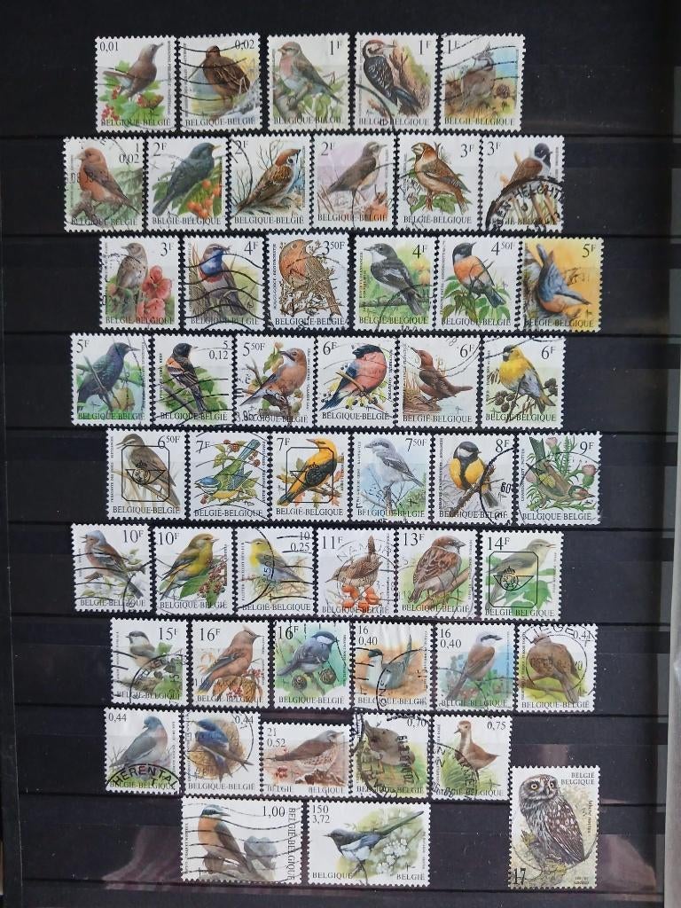 Lot 49 timbres-poste oblitérés de Belgique Oiseaux Buzin, Enlèvement ou Envoi, Affranchi, Timbre-poste, Autre