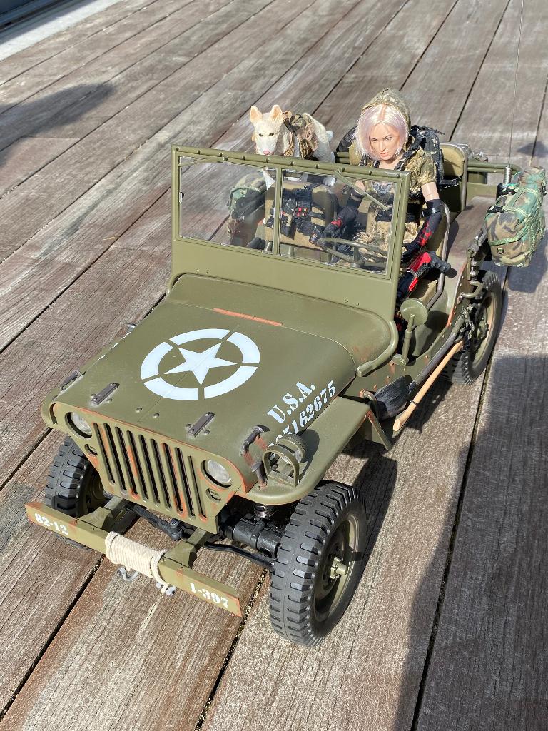 Jeep radiocommandée RC, Neuf, Autres échelles, Voiture off road, Enlèvement