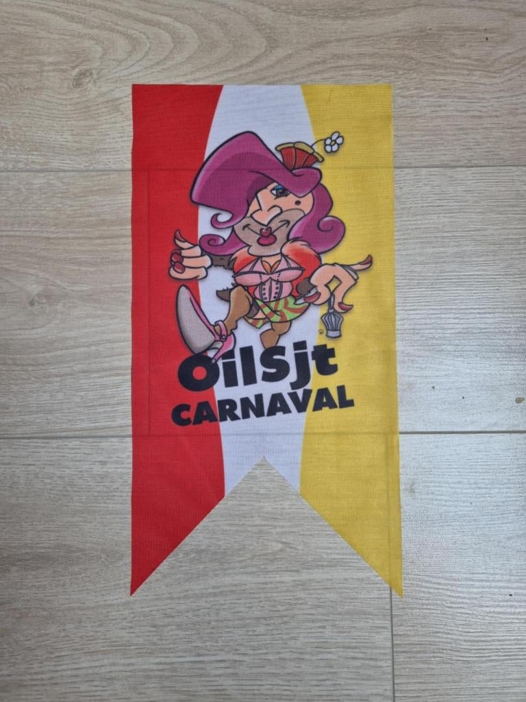 Carnaval Aalst wimpel 't Reigert 2015, Diversen, Ophalen of Verzenden