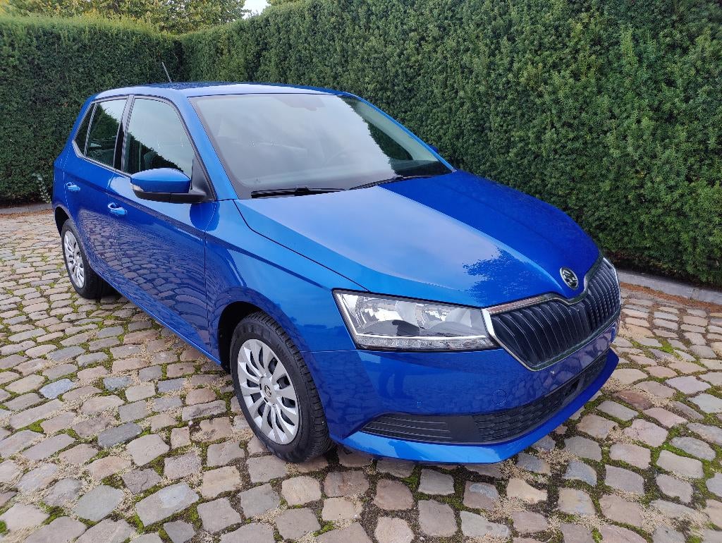 Skoda Fabia 1.0 TSI Ambition, Auto's, Voorwielaandrijving, Stof, Bedrijf, 5 deurs