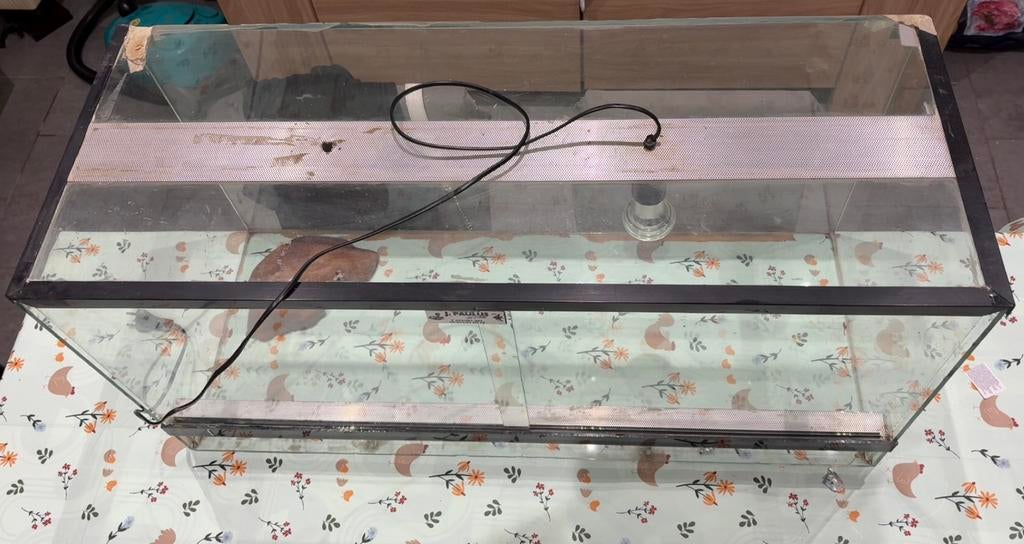 Terrarium, Animaux & Accessoires, Enlèvement, Terrarium ou Paludarium