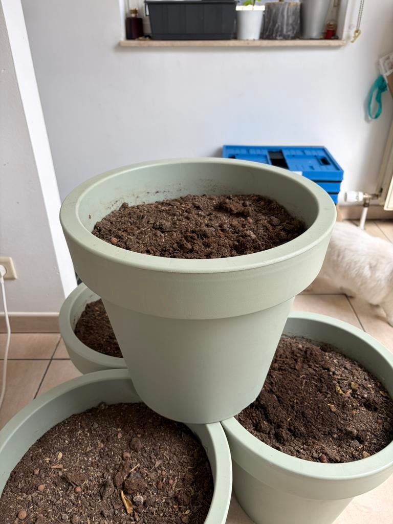 4 kunststof bloempotten met biologische potgrond, Kunststof, Rond, Zo goed als nieuw, Minder dan 40 cm