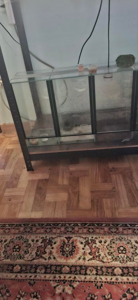 Verschillende kooien en terrariums te koop, Ophalen, Gebruikt, Terrarium of Paludarium