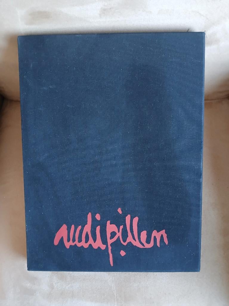 Rudi Pillen van Brutin, Hugo, Boeken, Gelezen, Verzenden, Brutin & Hugo, Schilder- en Tekenkunst