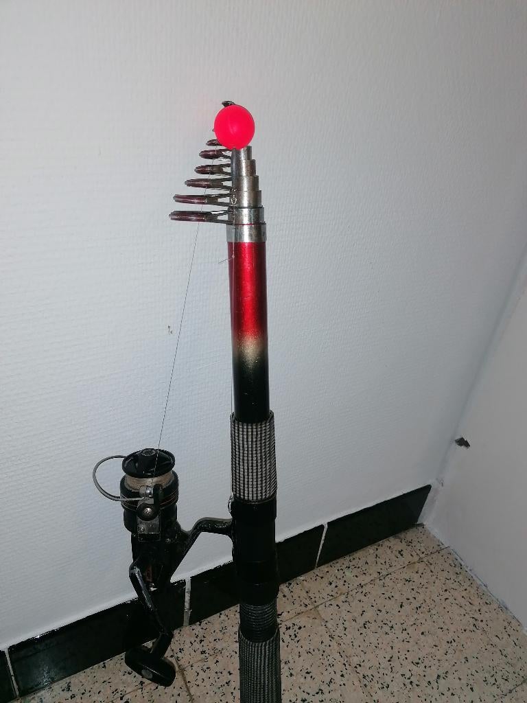 Canne à pêche, Enlèvement ou Envoi, Moulinet