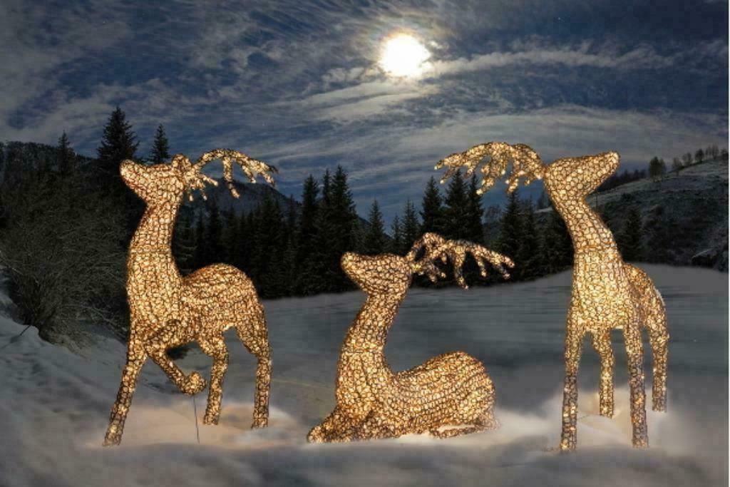 Exclusieve Rendieren Familie Glasoptiek Met Led-Verlichting, Diversen, Kerst, Nieuw, Verzenden