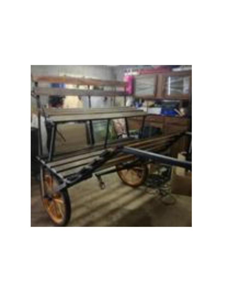 Calèche, Animaux & Accessoires, Cheval