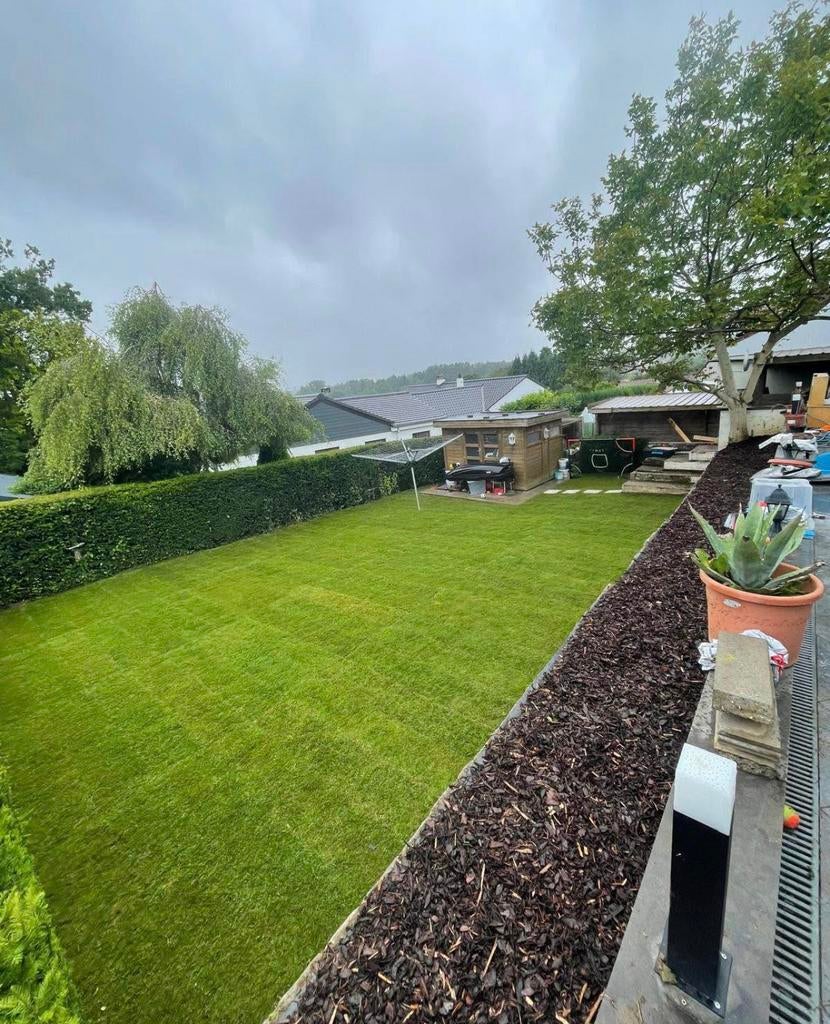 Rouleaux de gazon naturel ️  :️0465 85 41 58, Jardin & Terrasse, Gazon & Gazon artificiel, Enlèvement ou Envoi, Neuf, Gazon artificiel