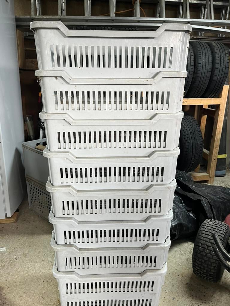 Lot de 8 grands bacs en plastique, Bricolage & Construction, Boîtes à outils, Enlèvement, Utilisé