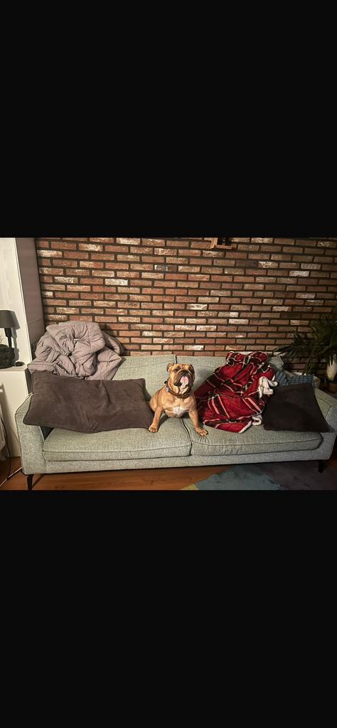 Vandaag Gratis op te halen, Ophalen, Zo goed als nieuw