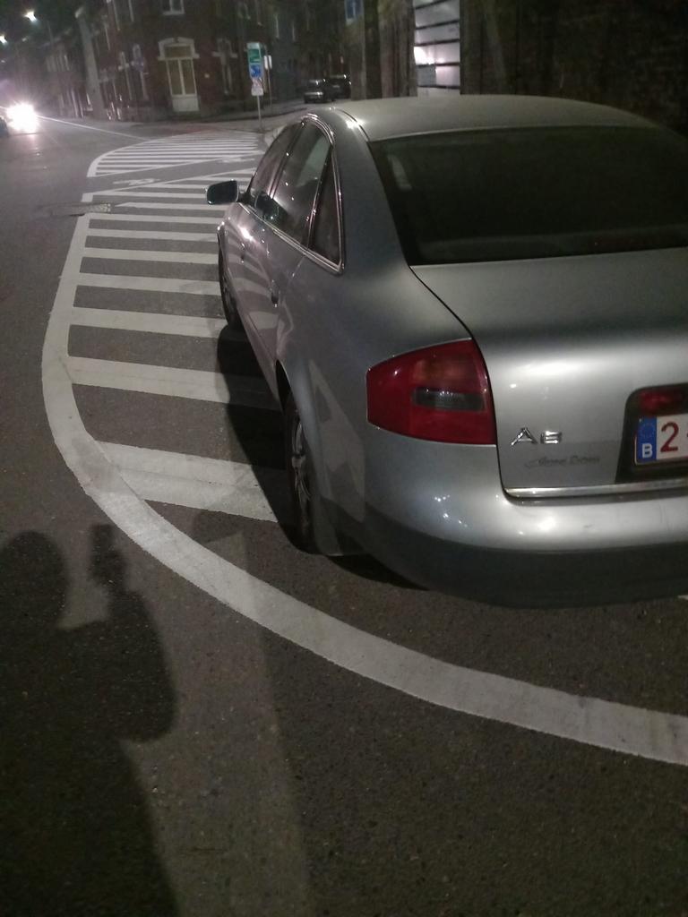 Audi A6 Tdi19, Auto's, Audi, Overige kleuren, Leder, Overige kleuren, 5 deurs