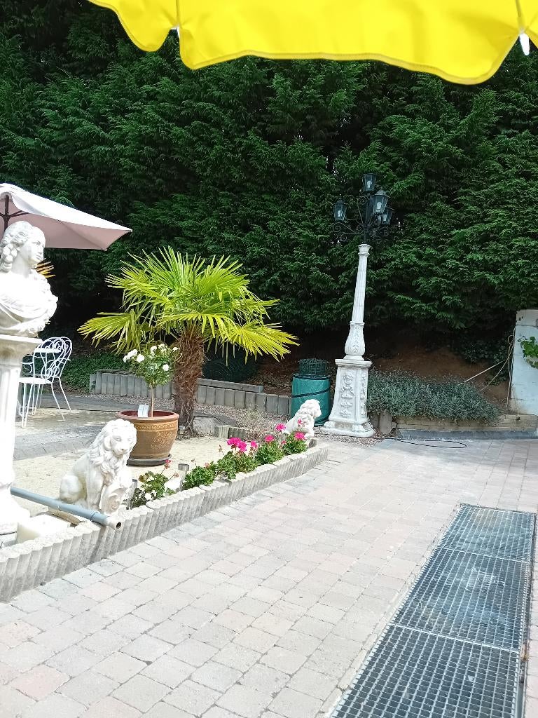 Deux chaises longues avec coussins assortis à vendre, Enlèvement, Utilisé, Bois, Ajustable