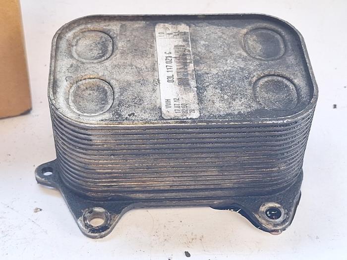 Echangeur de chaleur d'un Volkswagen Caddy, Volkswagen, -, 3 mois de garantie, Utilisé