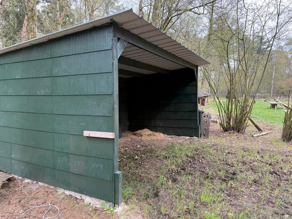 Schuilstal paard, pas half jaar oud, 2 of 3 paarden of pony's