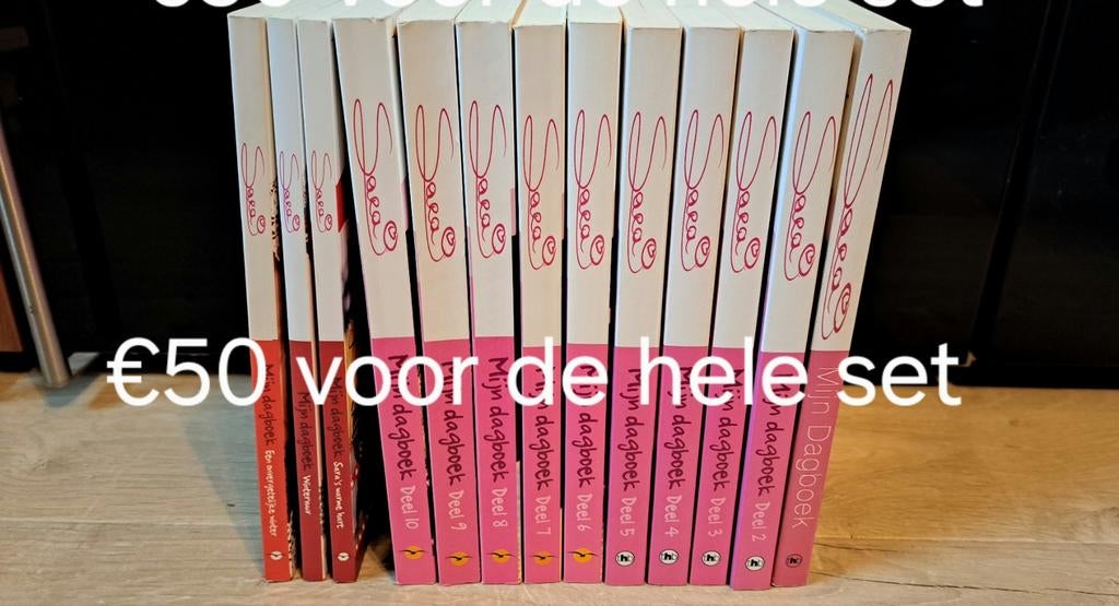 Sara mijn dagboek. Volledige set €50, Boeken, Ophalen, Zo goed als nieuw, België