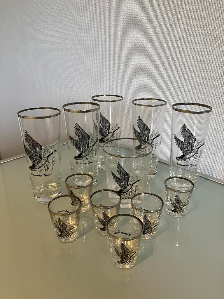 12 glazen Canada Goose totaal 10 Euro, Ophalen of Verzenden, Zo goed als nieuw