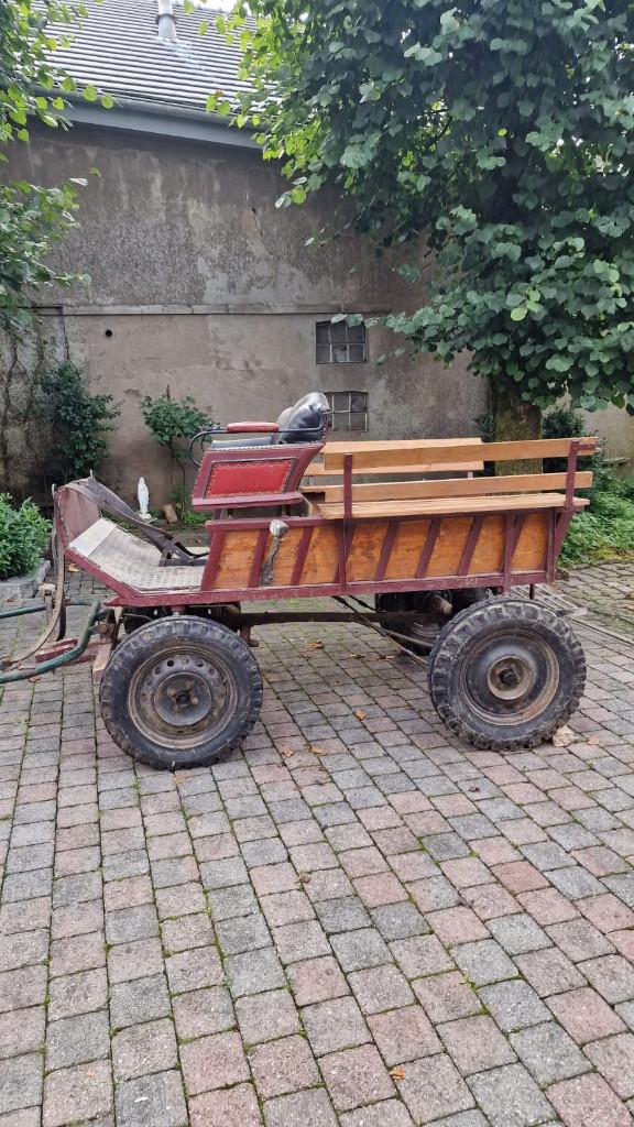 Calèche à vendre, Enlèvement, Utilisé, Récréation