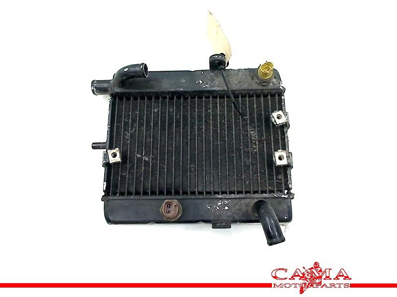 RADIATEUR EAU Yamaha YP 250 MAJESTY 2001-2006 (YP250 5GM), Motos, Dhr. S. di Majo, Utilisé, Info@cama-motorparts.nl, P.J. Troelstraweg 8 8
3144 CX  MAASSLUIS, NL