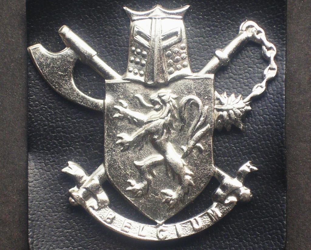 Insigne de béret s-off. des années 1970 du 3e Bataillon Para, Verzamelen, Verzenden, Landmacht, Embleem of Badge