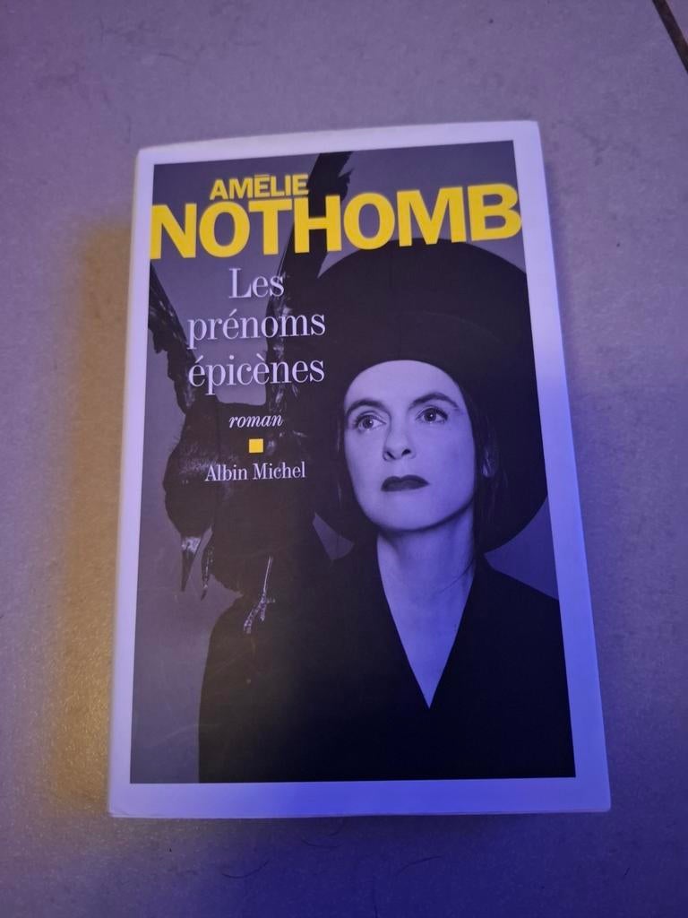 Amelie Nothomb - 2 livres, Livres, Enlèvement, Comme neuf
