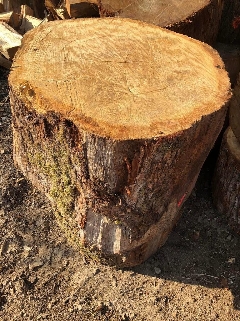 Kloofboomstammen van eiken en beuken, Tuin en Terras, Brandhout, Ophalen of Verzenden, Eikenhout