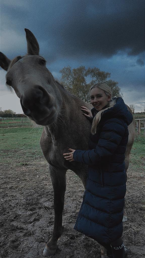 paardenlessen aangeboden, Dieren en Toebehoren