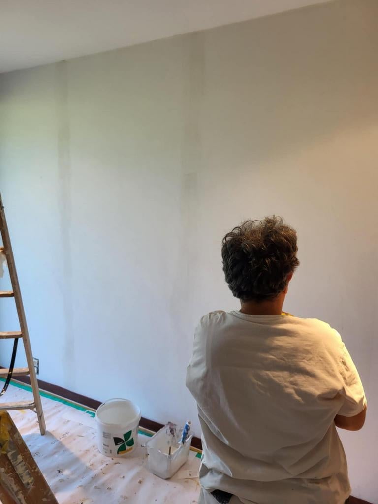 Schildenwerken en Plaster, Diensten en Vakmensen, Schilders en Behangers