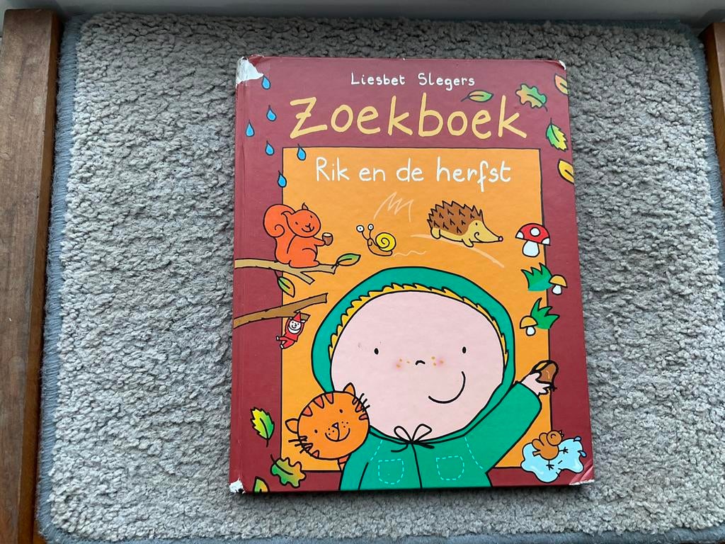 Zoekboek Rik en de herfst, Ophalen of Verzenden, Zo goed als nieuw