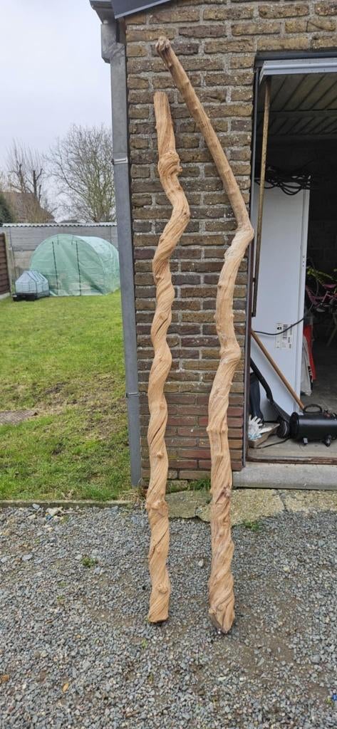 papegaai java stammen, Dieren en Toebehoren, Papegaai