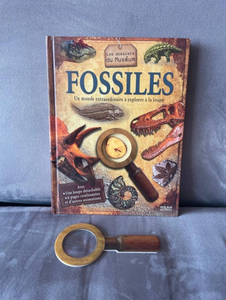 Fossielen: educatief boek, Boeken, Dieren en Huisdieren, Ophalen, Zo goed als nieuw, Reptielen of Amfibieën