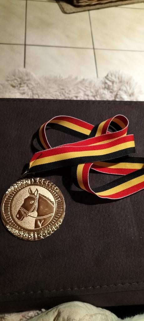 Medaille paard, Ophalen of Verzenden