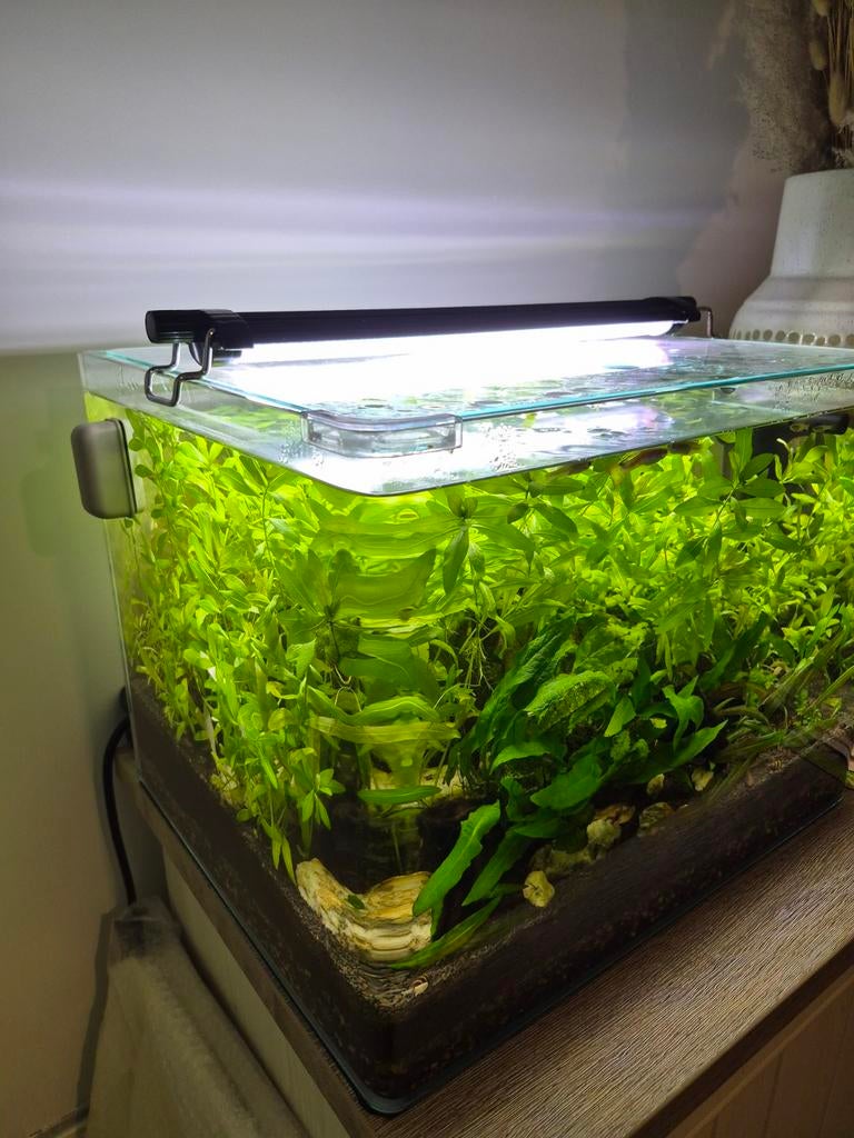 Aquarium dennerlee complet, Enlèvement