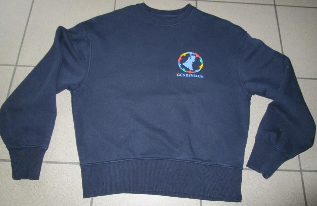 Sweater Google GCS Benelux - maat S - UITVERKOOP, Ophalen of Verzenden, Zo goed als nieuw, Trui, Google