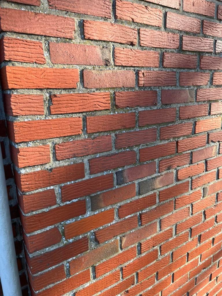 Gratis metselstenen, 2 soorten, Doe-het-zelf en Bouw, Metselstenen, Ophalen, Gebruikt, Bakstenen