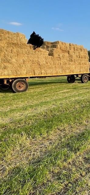 strowagen, Zakelijke goederen, Landbouw | Werktuigen, Ophalen