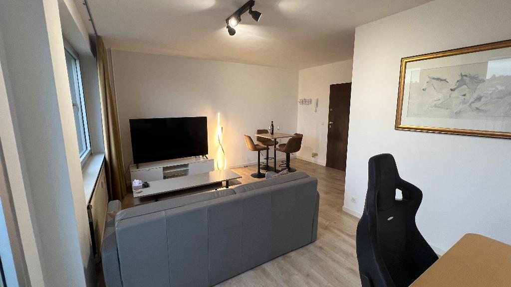 Lichtrijk appartement in centrum Leuven, Immo, Leuven, Tot 200 m², Leuven, 50 m²