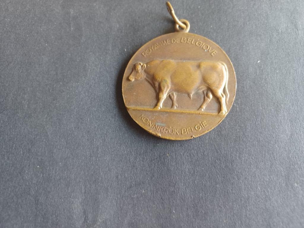 oude medaile of penning jaar 1958 zie fotos, Ophalen of Verzenden, Brons