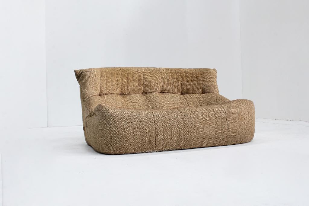 Vintage Aralia sofa Ligne Roset Michel Ducaroy, Ophalen