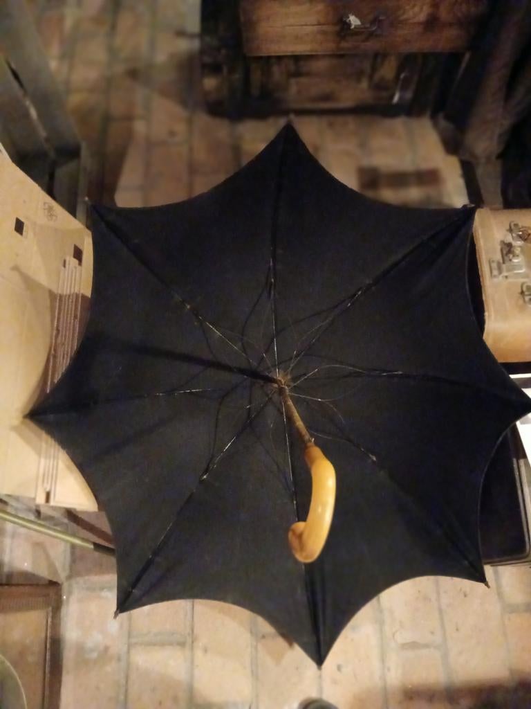 Paraplu, Ophalen of Verzenden