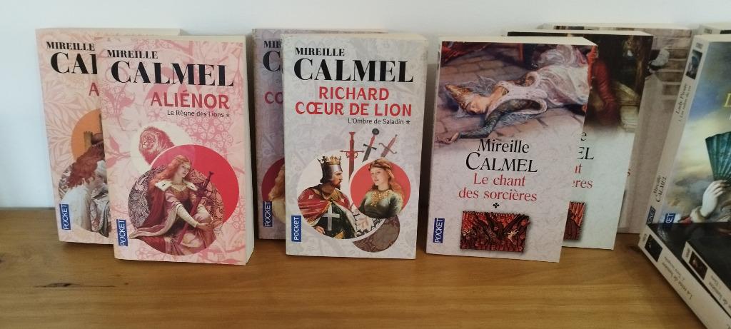 livres de poche, Enlèvement, Neuf, Mireille Camel, Europe autre