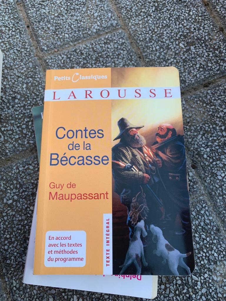 Contes de la Bécasse Guy de Maupassant, Ophalen of Verzenden